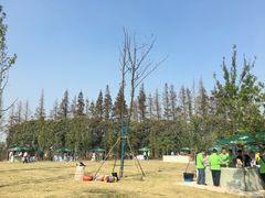 -上海长兴岛郊野公园