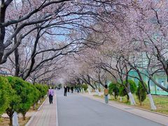 -山东师范大学(千佛山校区)