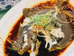 清蒸多宝鱼-江南村酒家
