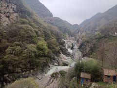 -都江堰石锅鱼