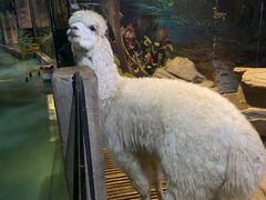 -苏州海洋馆