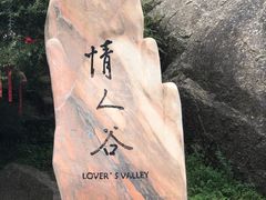 -芦芽山旅游度假区