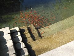 -水磨沟公园
