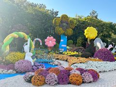 -上海共青森林公园