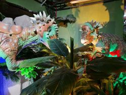 -恐龙探索乐园(磁器口店)