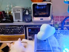 -平行世界·猫咖(首经贸店)