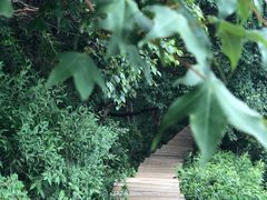 -白草畔自然风景区