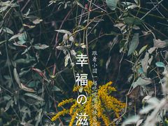 -杭州植物园