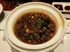 -齐河孔雀王温泉酒店·金孔雀自助百汇