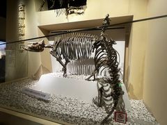 -国家自然博物馆