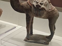 -隋唐大运河文化博物馆