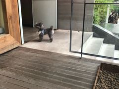 -the rug 飞毯 (朝阳公园店)