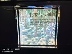 -同济大学四平路校区深海探索馆