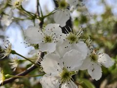 -江苏三台山国家森林公园