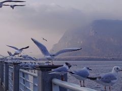 -海埂大坝