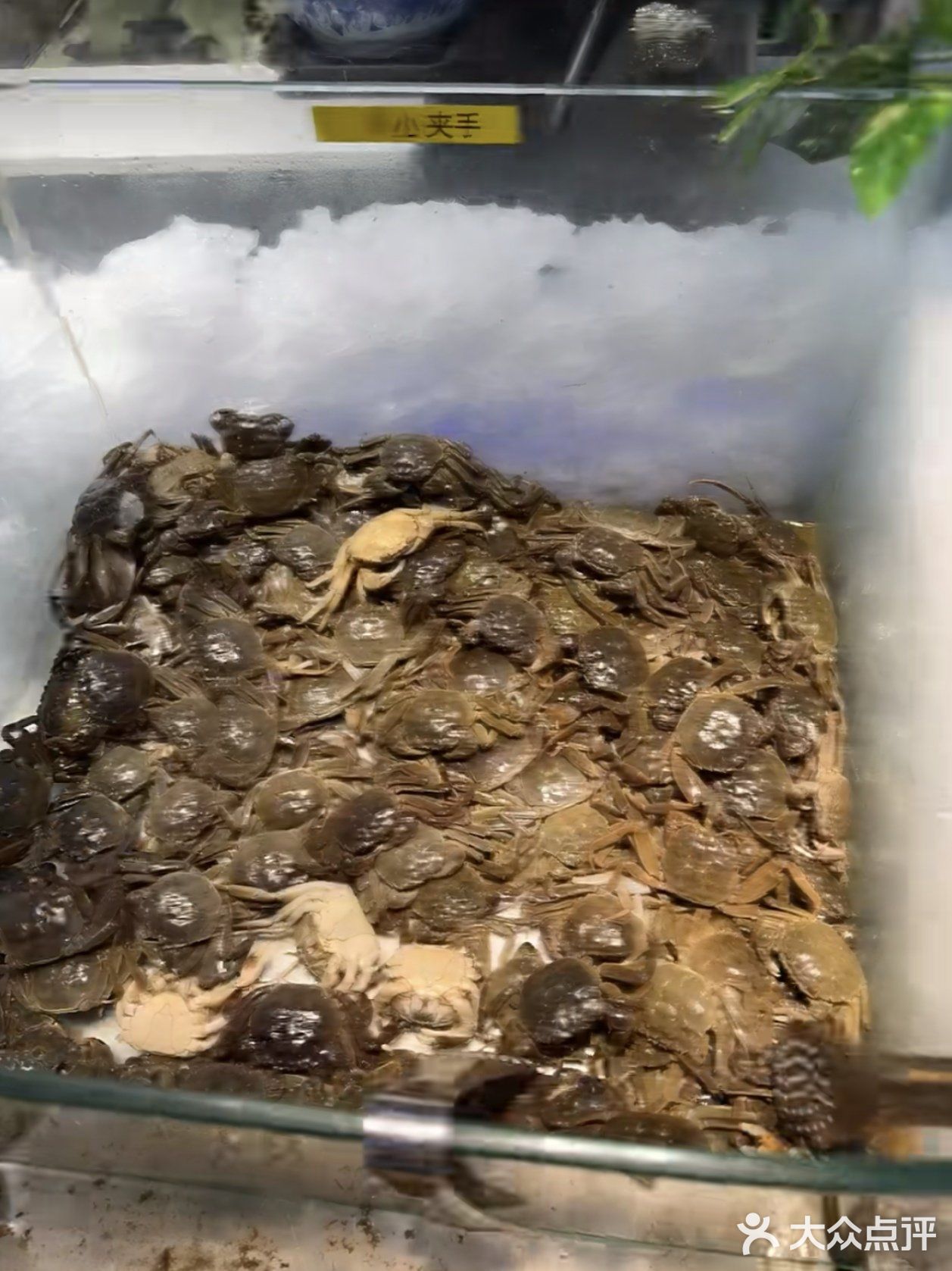 快乐自助大饱口福