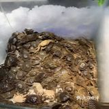 快乐自助大饱口福