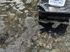 -物美大卖场(玉蜓桥店)