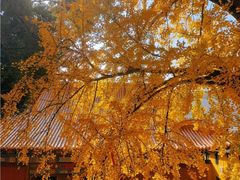 -宝通禅寺