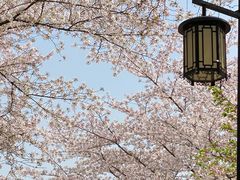 -苏州上方山国家森林公园