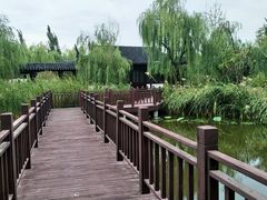 -武清南湖绿博园