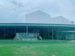 -金泽21世纪美术馆