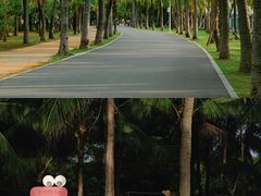 -三亚西岛海洋文化旅游区