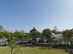 -苏州金鸡湖大酒店