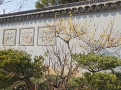 -无锡梅园公园