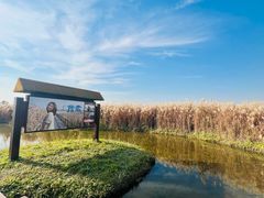 -宁波杭州湾国家湿地公园