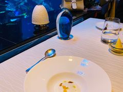 -迪拜帆船酒店海底餐厅