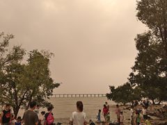 -宝安西湾红树林湿地公园