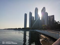-深圳湾公园(南山区)