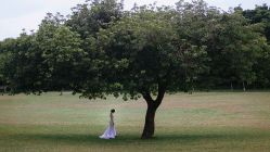 -巴黎婚纱摄影工作室