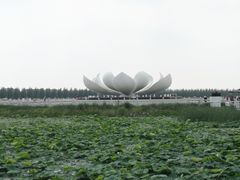 -呼兰河口湿地公园