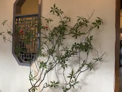 -雨后行菜(报慈北路店)