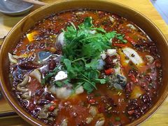 -燕兵眉州肥肠鱼饭店