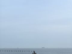 景点-青岛第二海水浴场