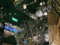 -桂满陇·海市蜃楼·黑金(国金店)