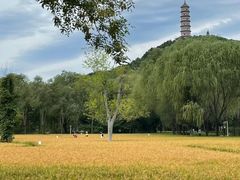 -北坞公园