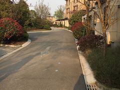 -上海崇明金茂凯悦酒店