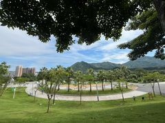 -白石龙音乐公园