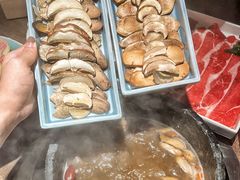 -蘑界·野生菌火锅(深业上城店)