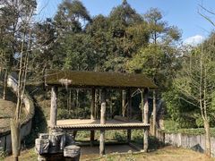 -碧峰峡风景区