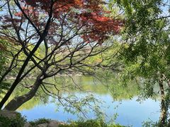 -白马涧龙池景区