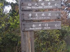 -玉苍山国家森林公园