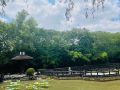 -合肥三国新城遗址公园