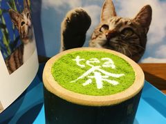 -茶是一枝花泡茶店