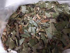 -上海市中医文献馆