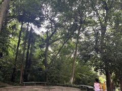 -杭州少年儿童公园